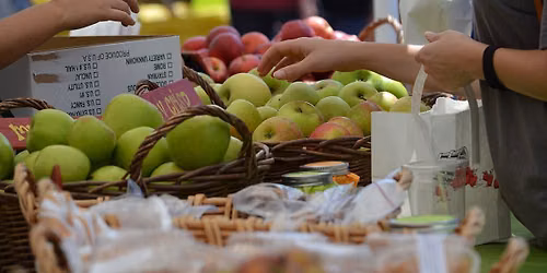 Islip Apple Festival