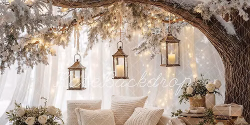 2026 Christmas Mini Sessions