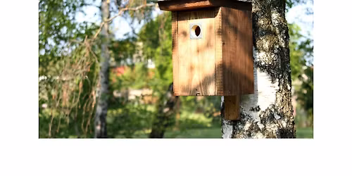 Postav s n\u00e1mi budky pro pt\u00e1ky