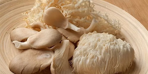 Grow Your Own Mushrooms