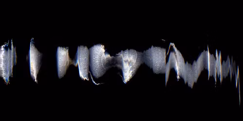 Bruits, vol. 4 : Rainier Lericolais et Pauline Nadrigny