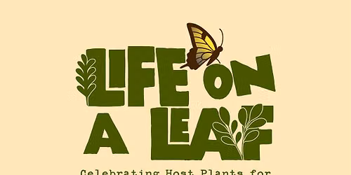 Life on a Leaf
