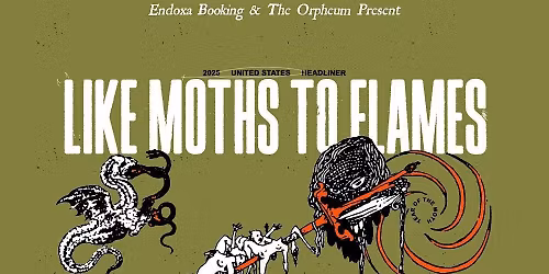 Like Moths to Flames in Tampa