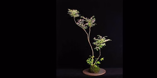 Introduction to the Art of Kusamono Workshop