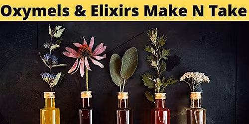 Oxymels & Elixirs | Make & Take Hands-On | In-Person