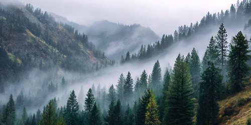 Oficjalna premiera portalu SlowBeskidy