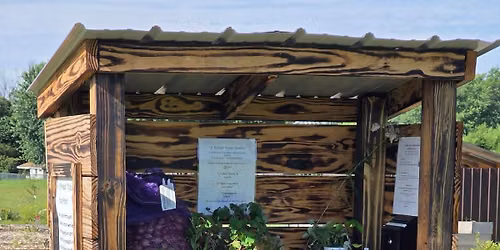 Pineal plant swap and community meet up!