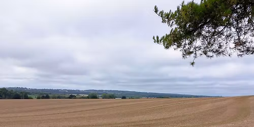 Charing 11 mile walk