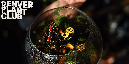 Terrarium Workshop with Denver Plant Club (5\/23\/26)