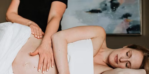 The Art of Prenatal Care: A Pregnancy Workshop for RMT\u2019s