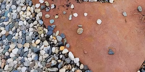 NGC STANDARD FLOWER SHOW