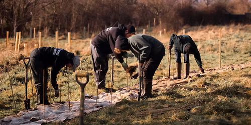 Volunteer Tree Planting - Pucklechurch Wood