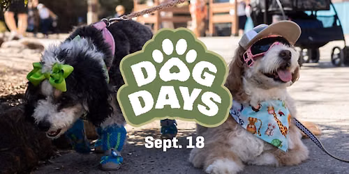 Dog Days