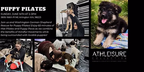 PUPPY PILATES