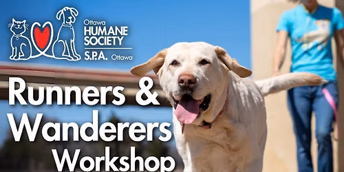 Runners & Wanderers Group Dog Training Workshop