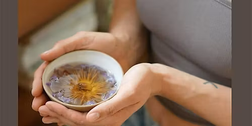 PORTALS at Studio Forma: Plant Wisdom & Practice