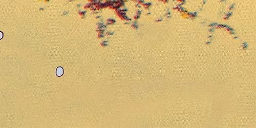 SLIME CITY with Zilch Patrol\/Baker Island