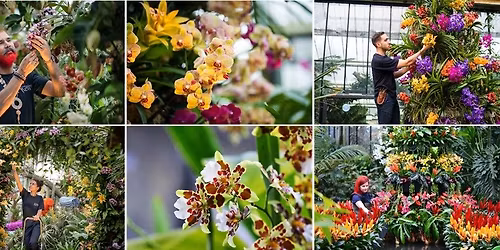 Royal Botanic Gardens Kew - Orchid Festival