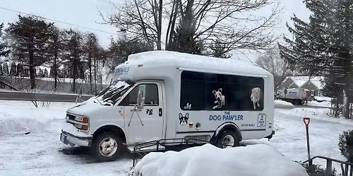 Colonie\/Wolf Road Bensons Pet Ctr Dog Nails