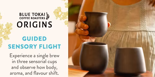 Guided Sensory Flight