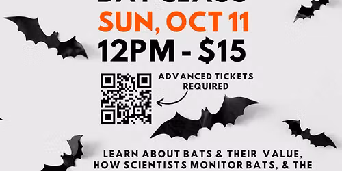 Bat Class