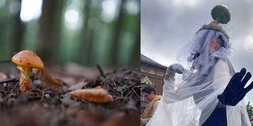 Becoming Mycelium \u3030\ufe0f Danseworkshop