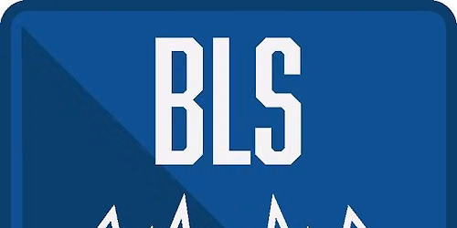 American Heart Association BLS Instructor
