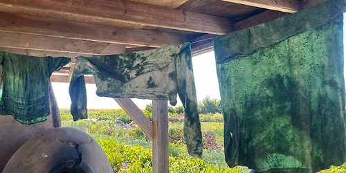 Natural Dyeing: A hands-on workshop