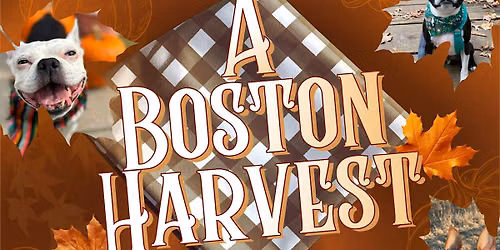 A Boston Harvest