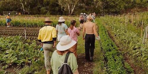 Foundations of Permaculture