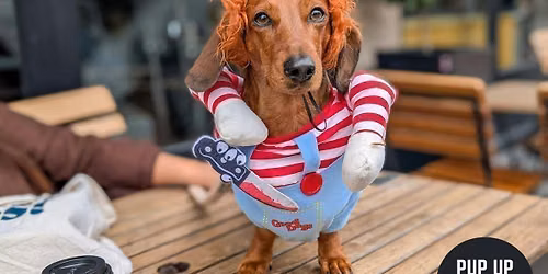 Hallo-ween Dachshund Pup Up Cafe \u2013 Birmingham\ud83c\udf83