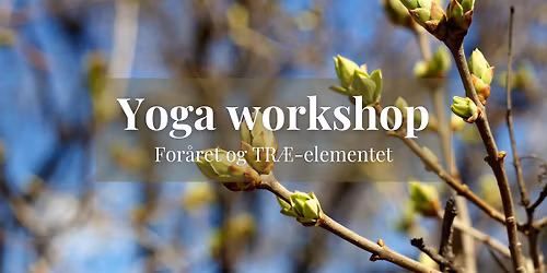 Yoga workshop: For\u00e5ret og TR\u00c6-elementet