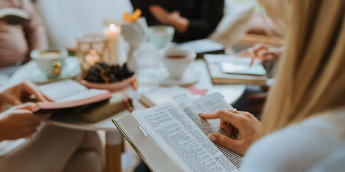 Discover, Devour, Delight