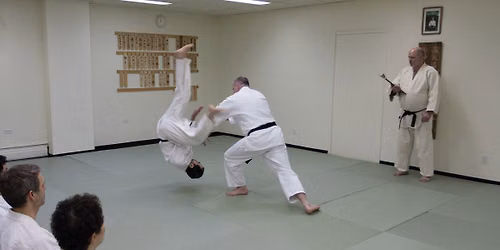 Yoshinkan Gasshuku - Robert Mustard