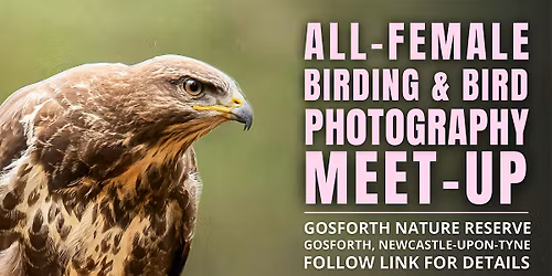 All-Female Birding & Bird Photography Morning