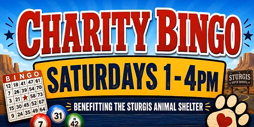 Charity Bingo