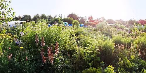 The Green Backyard AGM 2025