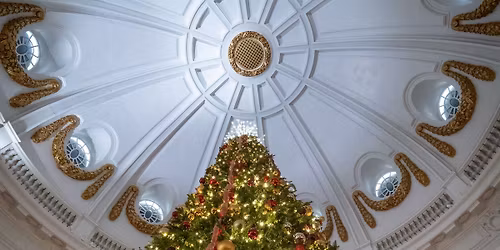 Christmas Tree Light Switch On