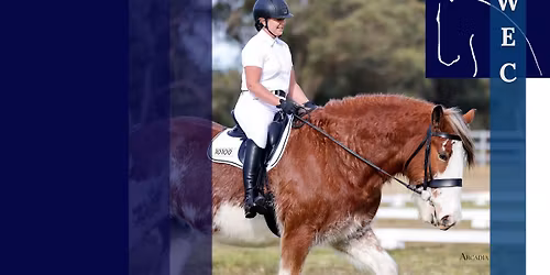 WEC Dressage and Jump Day