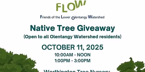 FLOW Free Tree Giveaway