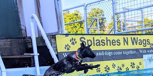 Splashes N Wags 2026 Splashdown | Wild Card Double Header!