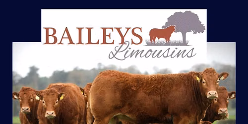 \ud83d\udca5\ud83d\udca5\ud83d\udca5Baileys Red Ladies Sale & Open Day\ud83d\udca5\ud83d\udca5\ud83d\udca5