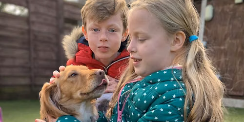 Animal Days Experience Sessions