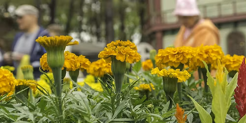 WheatonArts Eco Fair FREE