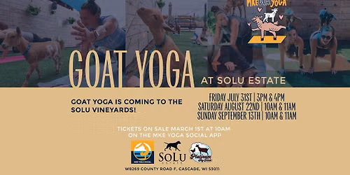 Goat Yoga in the SoLu Vineyards!