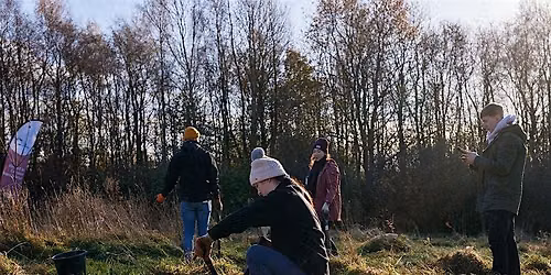 Citizen Forester Tree Maintenance at Whitehead Park, Bury