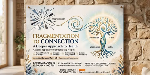Fragmentation to Connection: A Deeper Approach to Health