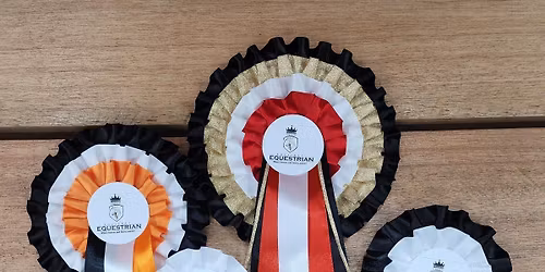 Pendulating a Perfect Posture