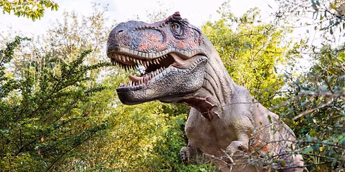 Dinosaurs Around the World: Passport to Pangea