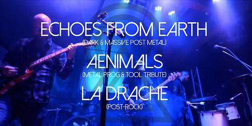 Echoes From Earth - Release Party